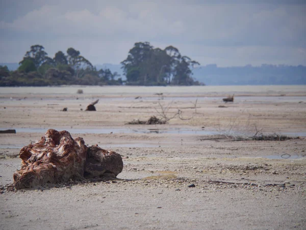Rotorua, Yeni Zelanda 'daki kuru volkanik göl