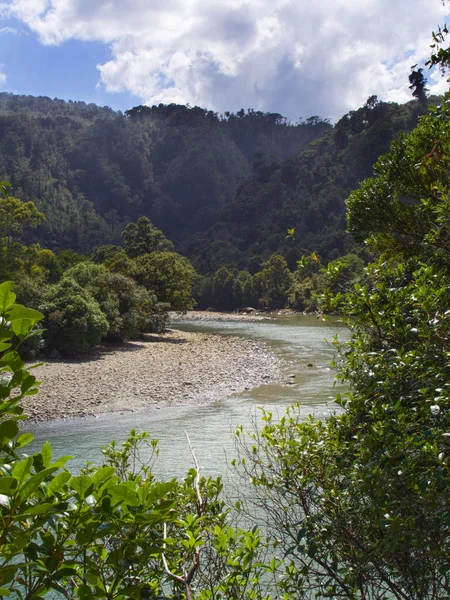 Nehir Yeni Zelanda 'daki ormanlarda kıvrılır ve kıvrılır.