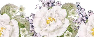 beyaz güllerle yatay kenar