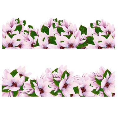 2- manolya-kenar kümesi