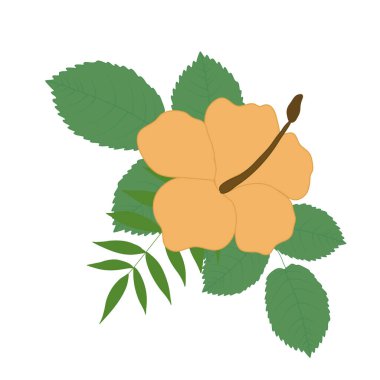 Sarı vektör tropik çiçek buketi