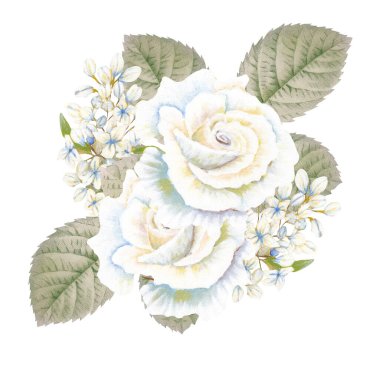 İnternet 'te ya da basılı olarak kullanmak için mükemmel bir gül buketi