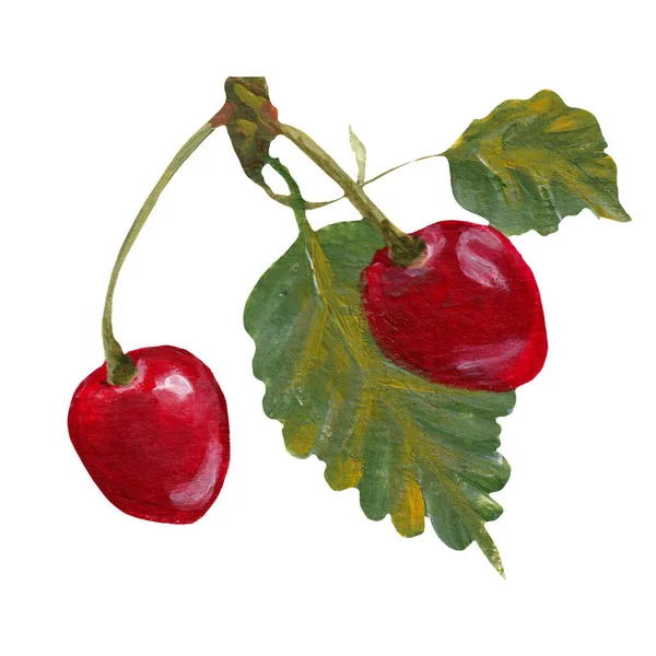 用手绘插图在树枝上的丙烯酸樱桃 完美地用于网络或印刷 — 图库照片