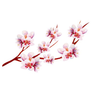 Bir daldaki akrilik kirazlar elle boyanmış, internette ya da basılı olarak kullanmak için mükemmel.