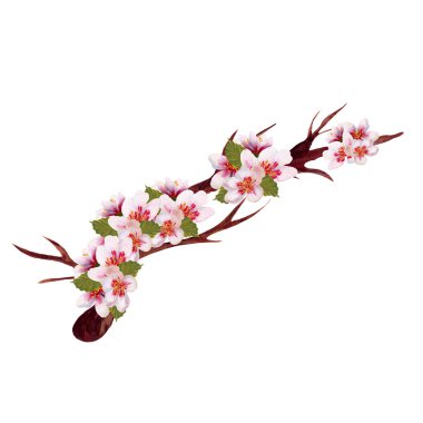 Bir daldaki akrilik kirazlar elle boyanmış, internette ya da basılı olarak kullanmak için mükemmel.