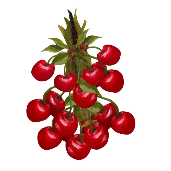 用手绘插图在树枝上的丙烯酸樱桃 完美地用于网络或印刷 — 图库照片