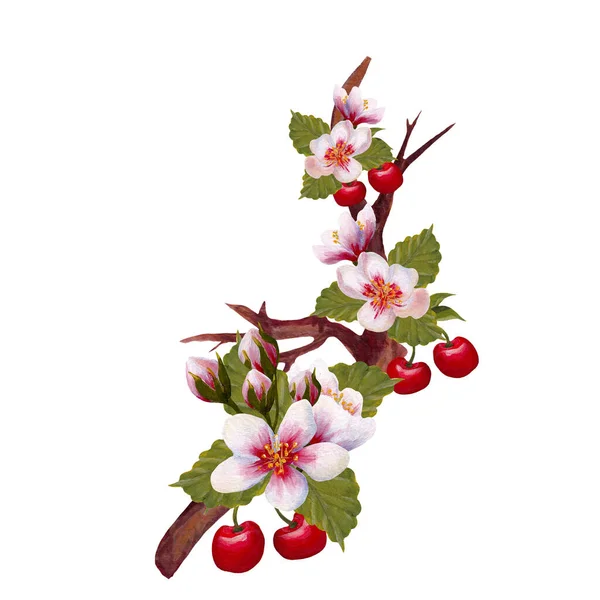 Acrylic Cherries Branch Hand Painted Illustration Perfect Use Web Print — Stock Photo, Image