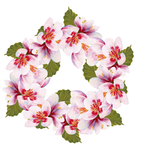 Hand Painted Cherry Blossom Wreath Perfect Use Web Print — Stock Photo, Image