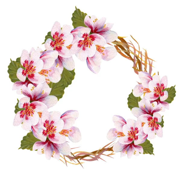 Hand Painted Cherry Blossom Wreath Perfect Use Web Print — Stock Photo, Image