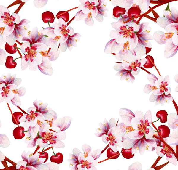 手绘樱花花环 非常适合在网上或在印刷品上使用 — 图库照片