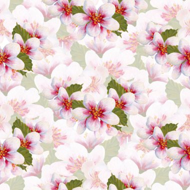 El boyası suluboya kiraz çiçeği pürüzsüz desen, internette ya da basılı olarak kullanmak için mükemmel.