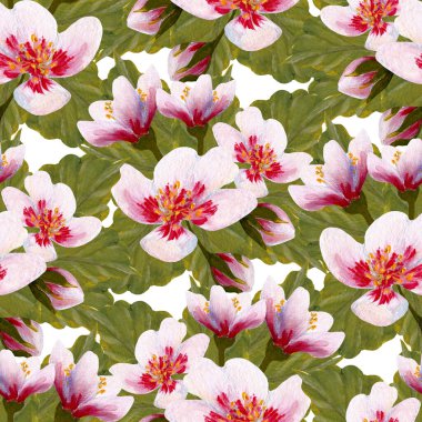 El boyası suluboya kiraz çiçeği pürüzsüz desen, internette ya da basılı olarak kullanmak için mükemmel.