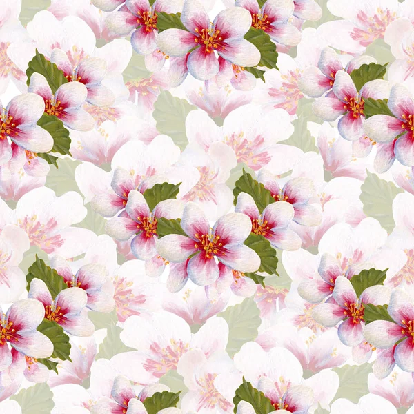 El boyası suluboya kiraz çiçeği pürüzsüz desen, internette ya da basılı olarak kullanmak için mükemmel.