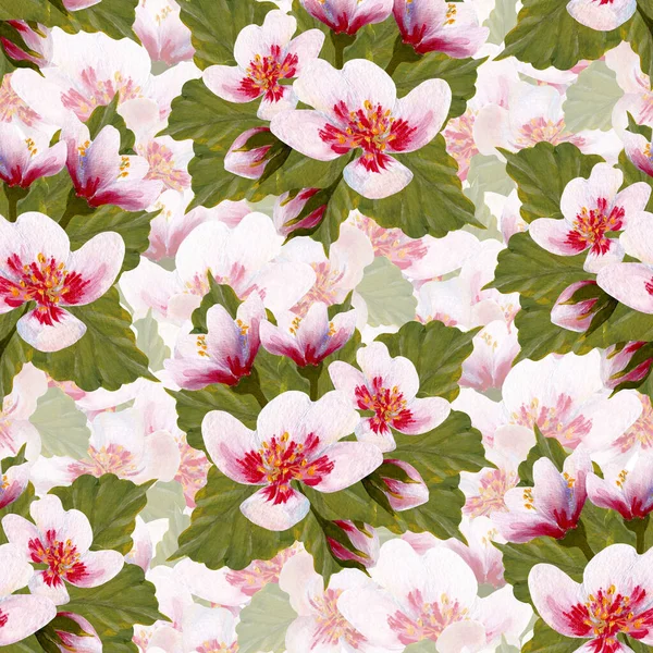 El boyası suluboya kiraz çiçeği pürüzsüz desen, internette ya da basılı olarak kullanmak için mükemmel.