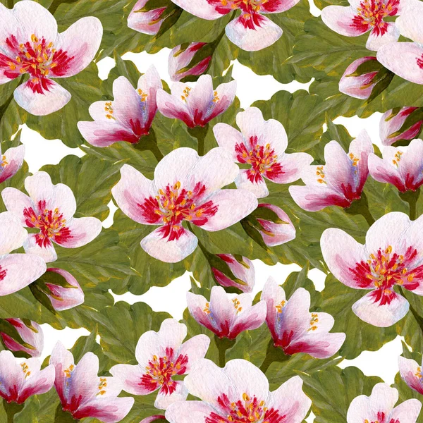 El boyası suluboya kiraz çiçeği pürüzsüz desen, internette ya da basılı olarak kullanmak için mükemmel.