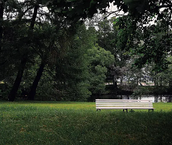 Gölün kıyısındaki bankta.