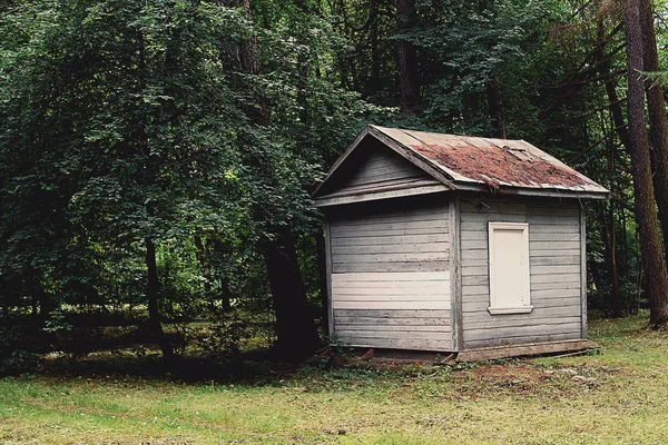 Ormanda terk edilmiş bir ev.