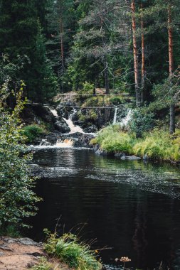 Ormandaki kayalık şelale