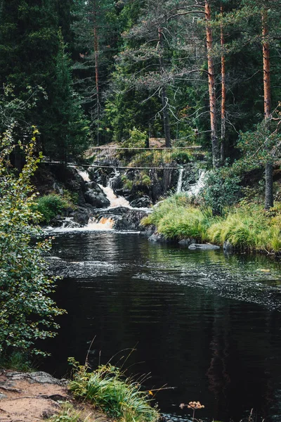 Ormandaki kayalık şelale