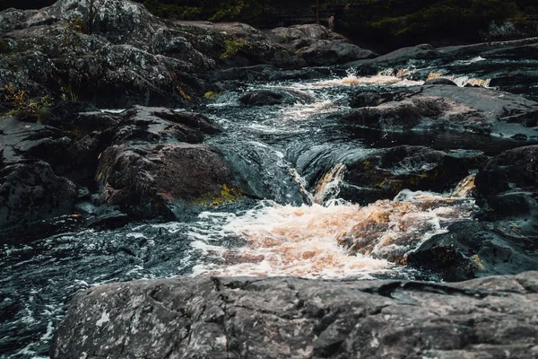 Ormandaki kayalık şelale