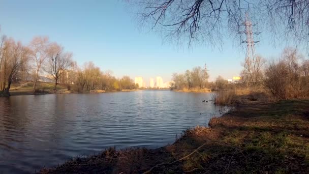 早晨在湖面上的城市里 在春天的背景下 有一座高楼 在平静的水边放松 — 图库视频影像