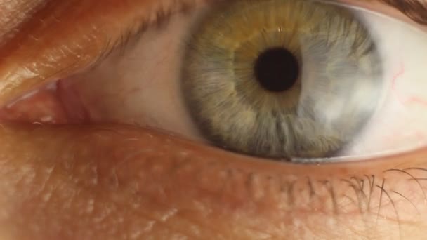 Piscando olho masculino close-up olhando ao redor. artéria vermelha no globo ocular macro. reacção da pupila à luz. Mioz e Midriaz. fechar e abrir a pálpebra — Vídeo de Stock