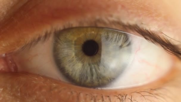 Cligner des yeux de mâle en gros plan regardant autour. artère rouge sur la macro du globe oculaire. réaction de la pupille à la lumière. Mioz et Midriaz. fermeture et ouverture de la paupière — Video