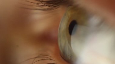 yanıp sönen erkek gözü yakından etrafa bakıyor. göz küresi makro kırmızı arter. ışığa öğrenci tepkisi. Mioz ve Midriaz. göz kapağını kapatma ve açma