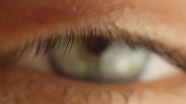 Occhio maschile lampeggiante primo piano guardando intorno. arteria rossa sulla macro bulbo oculare. reazione della pupilla alla luce. Mioz e Midriaz. chiusura e apertura della palpebra — Video Stock