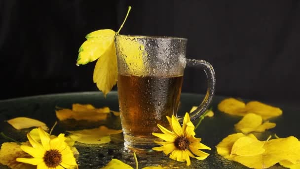 Una Taza Vidrio Transparente Moja Después Una Lluvia Caliente Encuentra — Vídeos de Stock