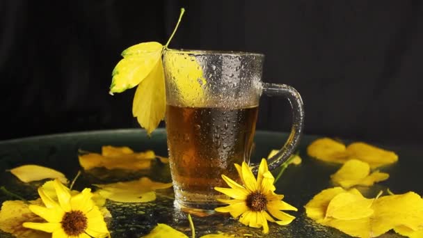 Transparent Glass Cup Wet Rain Hot Tea Midst Autumn Landscape — Stock Video