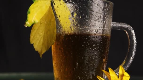 Clear Glass Mug Wet Rain Hot Tea Stands Midst Autumn — Stock Video