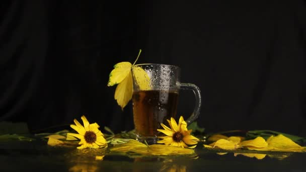 Clear Glass Mug Wet Rain Hot Tea Stands Midst Autumn — Stock Video