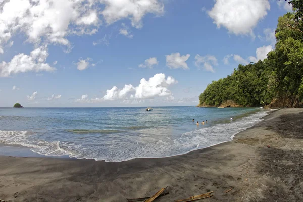 Anse Couleuvre Martinique Fwi — Stockfoto