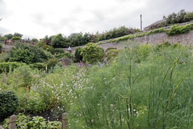 Culross Palace garden, İskoçya, İngiltere