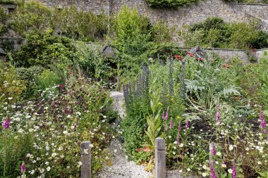 Culross Palace garden, İskoçya, İngiltere