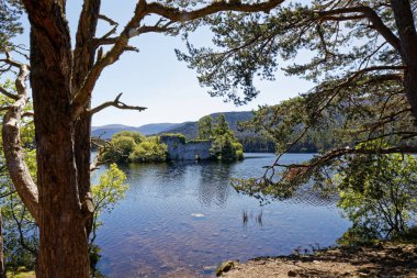 Loch an Eilein Kalesi - Rothiemurchus, Cairngorms Ulusal Parkı - İskoçya, İngiltere