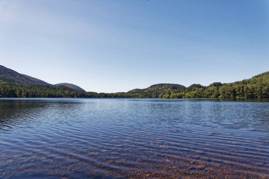 Loch an Eilein - Rothiemurchus, Cairngorms Ulusal Parkı - İskoçya, İngiltere