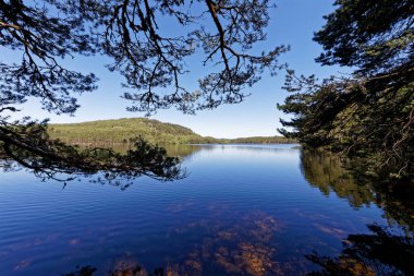 Loch an Eilein - Rothiemurchus, Cairngorms Ulusal Parkı - İskoçya, İngiltere