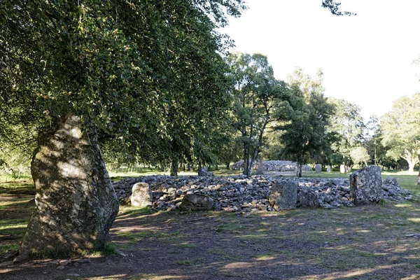 Clava Cairns Perto Campo Batalha Culloden Inverness Escócia Reino Unido — Fotografia de Stock