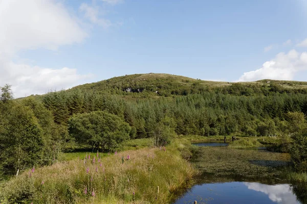 Highland Titles Nature Reserve Glencoe Escocia Reino Unido — Foto de Stock
