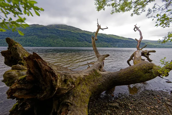 Loch Lomond Loch Lomond Trossachs National Park Scozia Regno Unito — Foto Stock