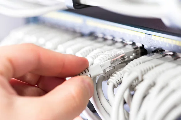 IT consultant connects a network cable into switch in datacenter — Stock Photo, Image