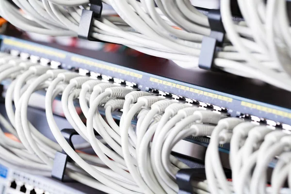 Interruttore di rete Gigabit e cavi patch perfettamente allineati nel datacenter — Foto Stock