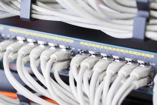 Gigabit-nätverk switch med justerad patch kablar i datacenter — Stockfoto