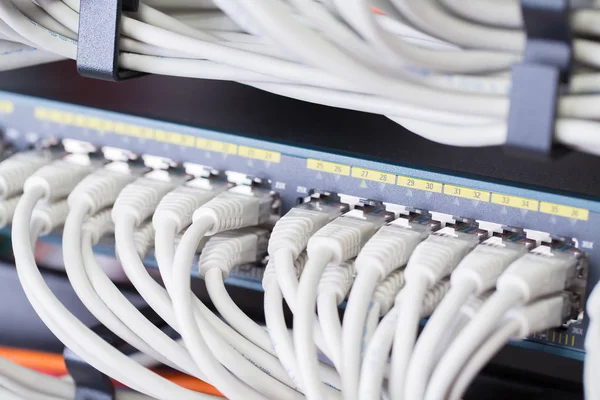 Gigabit ağ anahtarı veri merkezlerinde hizalanmış patch kablolar