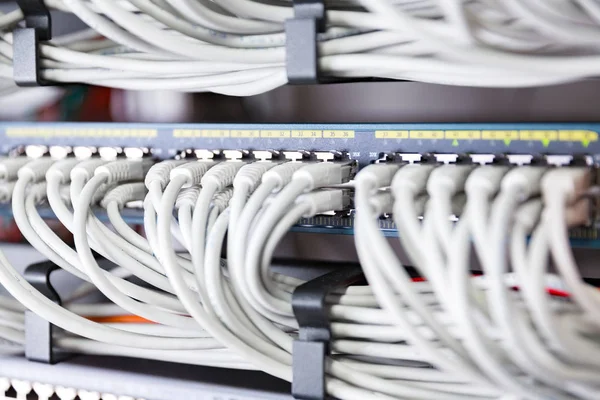 HighSpeed síťový přepínač a perfektní zarovnaný patch kabely v datacenter — Stock fotografie