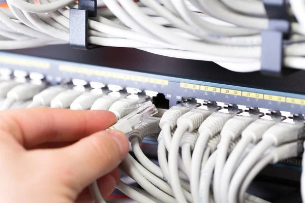 IT consultant connects a network cable into switch in datacenter — Stock Photo, Image