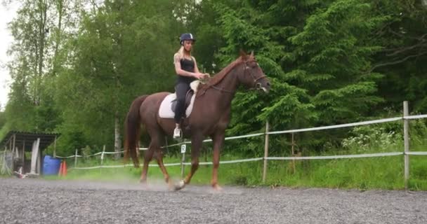練習場で彼女のアラビアの馬に乗って金髪女性 — ストック動画
