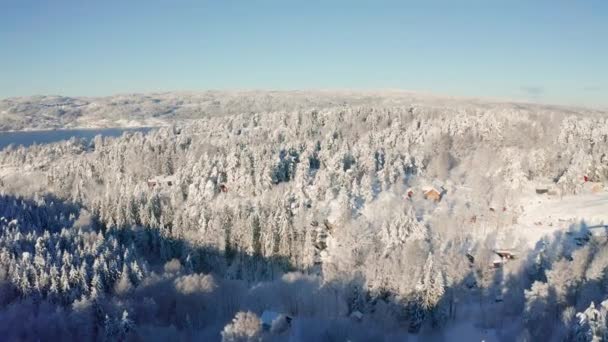 Volando hacia un fiordo sobre un bosque invernal frío nevado épico — Vídeos de Stock